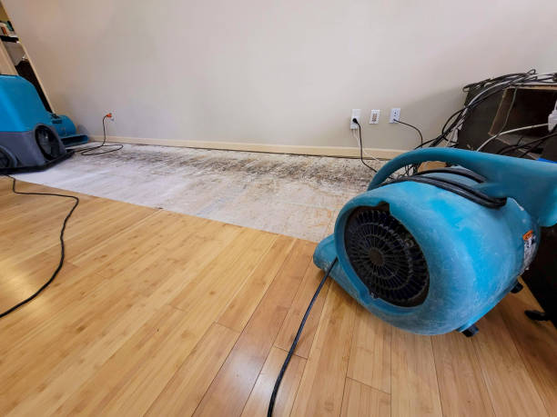 Professional Ceiling Water Damage Repair technician working in Nokomis, FL